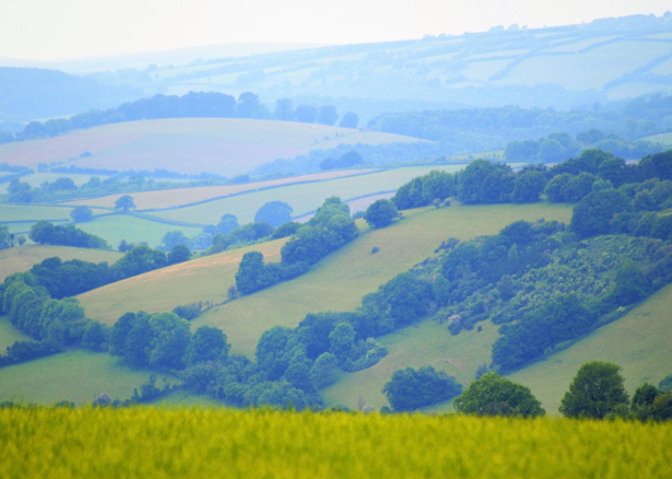 Festival Weddings in Tiverton, Devon